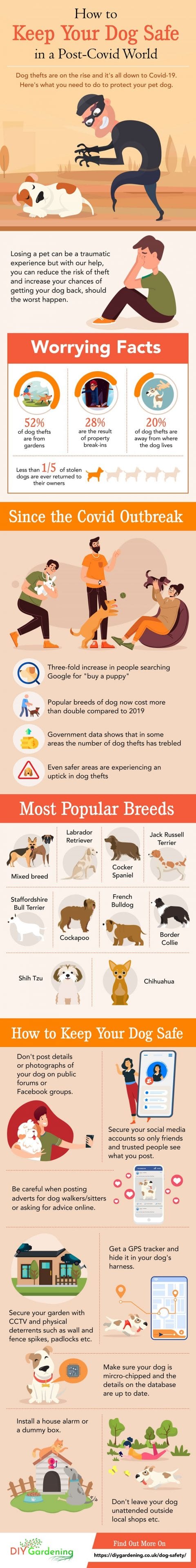 How to Protect Your Dog From Thieves in a Post Covid World